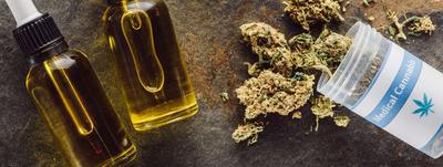 Herstellung Cannabisöl - Extraktion der Öle der Canabispflanze